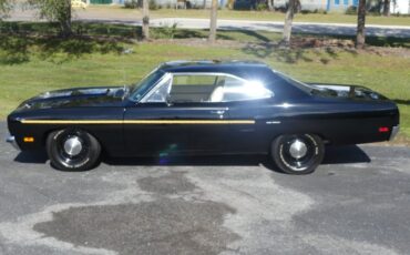 Unknown-Road-runner-1970-Black-Velvet-White-15