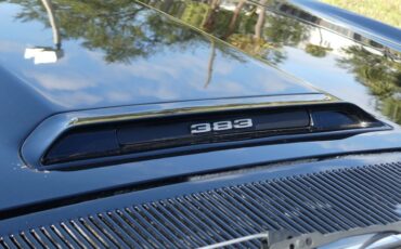 Unknown-Road-runner-1970-Black-Velvet-White-41