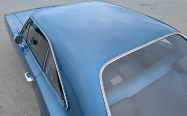 Unknown-Road-runner-1970-Jamaica-Blue-Blue-3