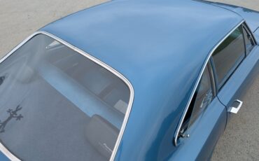 Unknown-Road-runner-1970-Jamaica-Blue-Blue-42