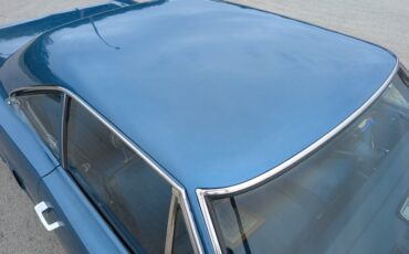 Unknown-Road-runner-1970-Jamaica-Blue-Blue-7
