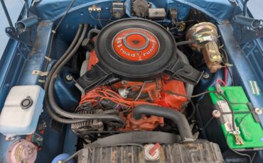 Unknown-Road-runner-1970-Jamaica-Blue-Blue-9