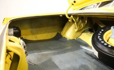 Unknown-Road-runner-1970-Lemon-Twist-Black-13