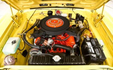 Unknown-Road-runner-1970-Lemon-Twist-Black-3