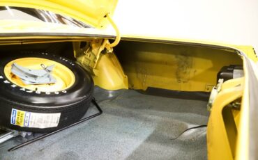 Unknown-Road-runner-1970-Lemon-Twist-Black-43