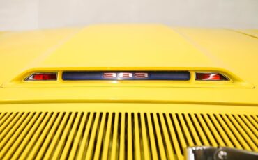Unknown-Road-runner-1970-Lemon-Twist-Black-45