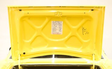Unknown-Road-runner-1970-Lemon-Twist-Black-48