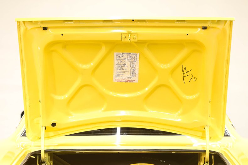 Unknown-Road-runner-1970-Lemon-Twist-Black-48