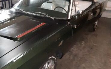 Unknown-Roadrunner-1969-Green-1