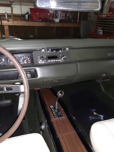 Unknown-Roadrunner-1969-Green-4
