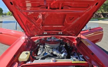 Unknown-Roadrunner-1970-Red-Black