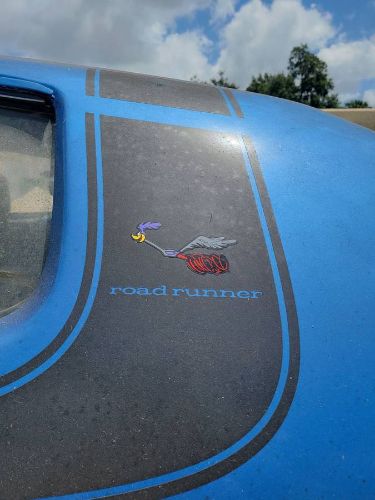 Unknown-Roadrunner-1973-7