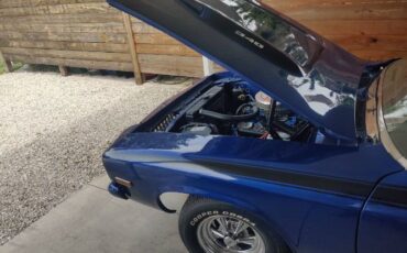 Unknown-Roadrunner-1973-Blue-Black-1