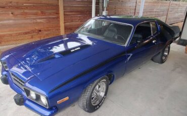 Unknown-Roadrunner-1973-Blue-Black-4