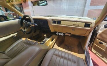 Unknown-Roadrunner-1975-8