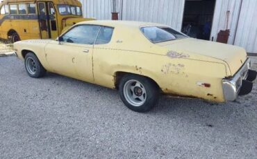 Unknown-Satellite-1974-Lemon-Twist-Yellow-Black-1