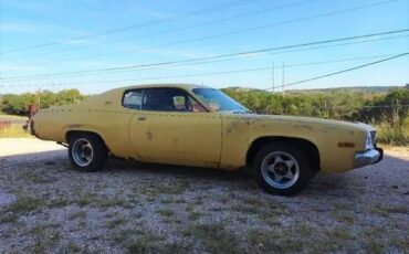 Unknown-Satellite-1974-Lemon-Twist-Yellow-Black-2