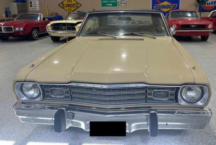 Unknown-Scamp-1973-Beige-Gold-10