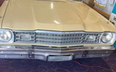 Unknown-Scamp-1973-Beige-Gold-11