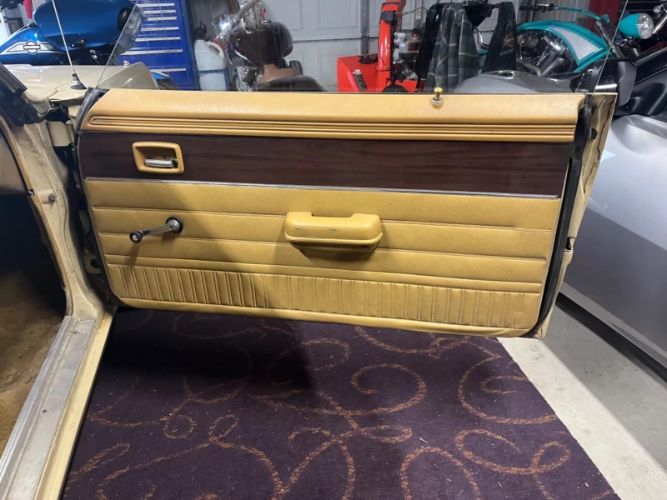 Unknown-Scamp-1973-Beige-Gold-2