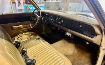 Unknown-Scamp-1973-Beige-Gold-6