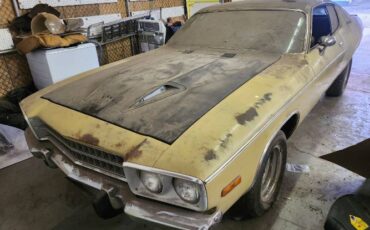 Unknown-Sebring-1974-Yellow-2