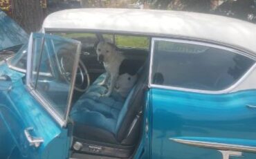 Unknown-Sedan-deville-1957-Blue-11