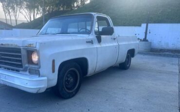 Unknown-Silverado-1975-White-1