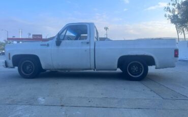 Unknown-Silverado-1975-White-2