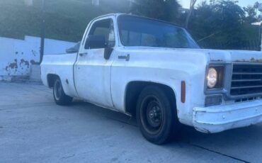 Unknown-Silverado-1975-White