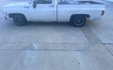 Unknown-Silverado-1975-White-4