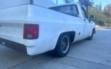 Unknown-Silverado-1975-White-5