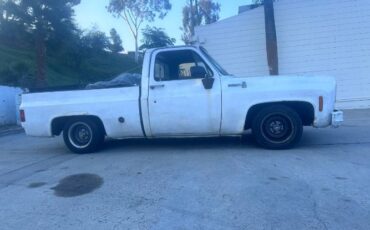 Unknown-Silverado-1975-White-6