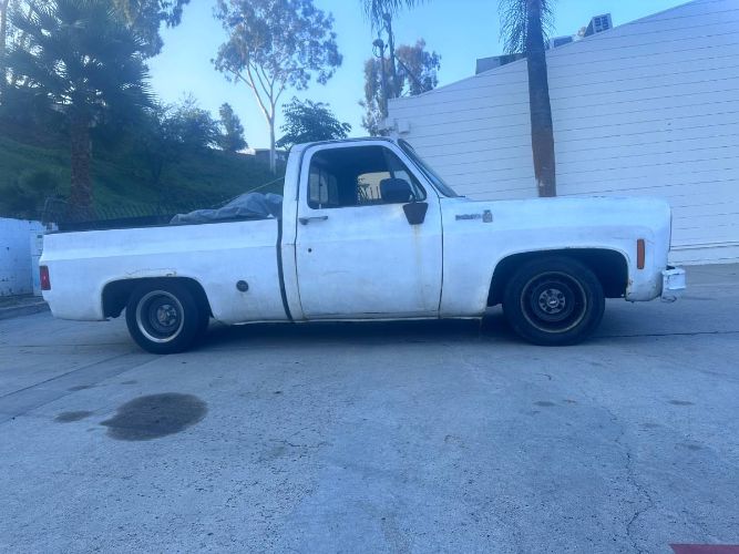 Unknown-Silverado-1975-White-6