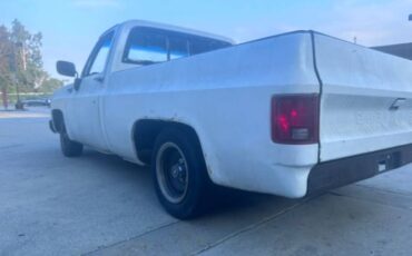 Unknown-Silverado-1975-White-7