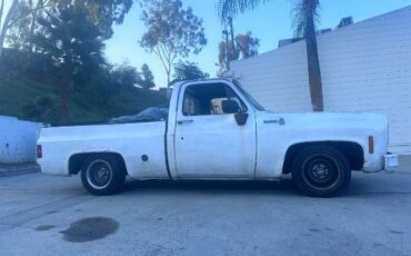 Unknown-Silverado-1975-White-9