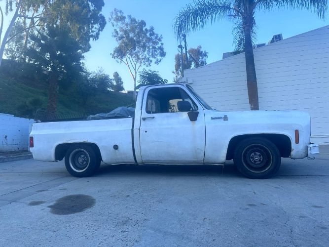 Unknown-Silverado-1975-White-9