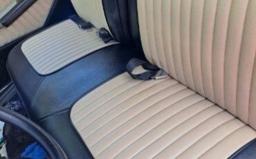 Unknown-Skylark-1964-BlackCream-BlackCream-9
