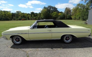 Unknown-Skylark-1964-Sunburst-Yellow-Black-42