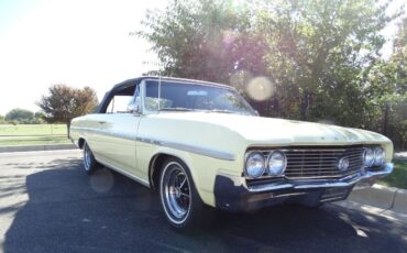 Unknown-Skylark-1964-Sunburst-Yellow-Black-6