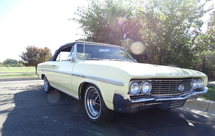 Unknown-Skylark-1964-Sunburst-Yellow-Black-6