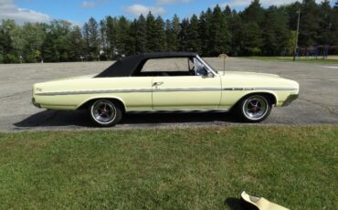 Unknown-Skylark-1964-Sunburst-Yellow-Black-7