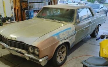 Unknown-Skylark-1965