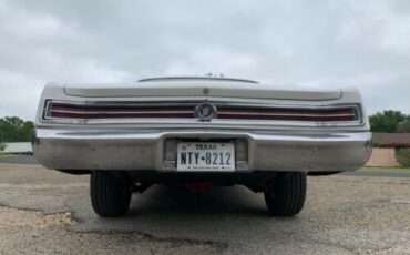 Unknown-Skylark-1965-White-14