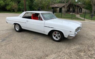 Unknown-Skylark-1965-White-15