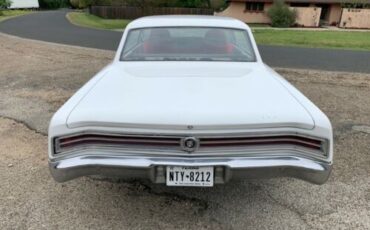Unknown-Skylark-1965-White-19