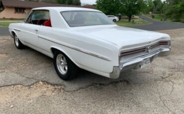 Unknown-Skylark-1965-White-20