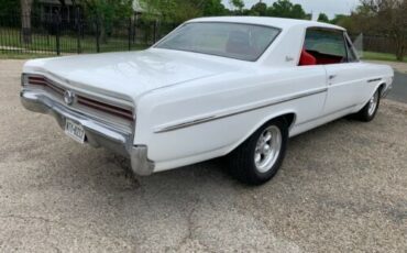 Unknown-Skylark-1965-White-21