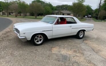 Unknown-Skylark-1965-White-22
