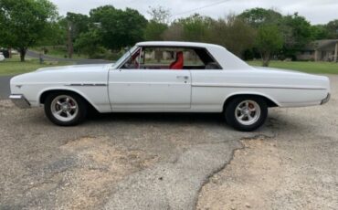 Unknown-Skylark-1965-White-4